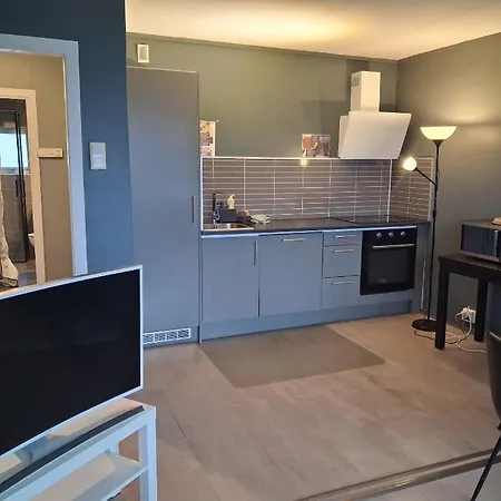 Comfortable In With Three Bedrooms Oslo